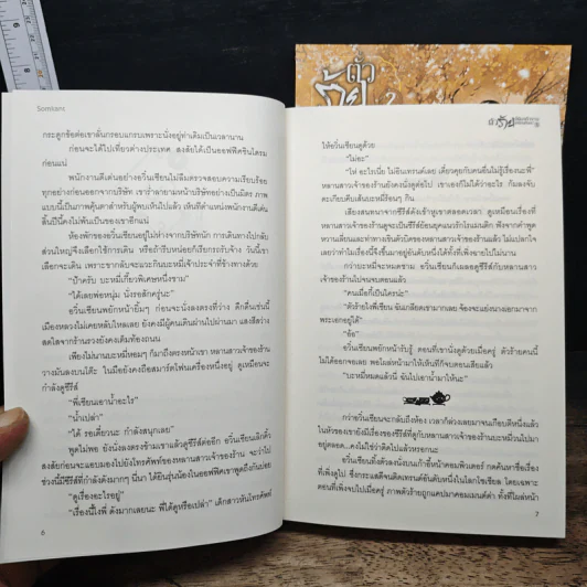 ตัวร้ายก็ต้องทำงานเหมือนกันนะ 2 เล่มจบ - Somkant รูปที่ 8