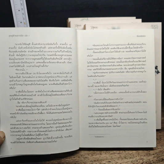 Boxset คุณผู้ช่วยสถาปนิก 4 เล่มจบ - ซีเหอชิงหลิง รูปที่ 11