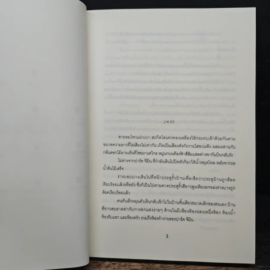 Empty - Vasa รูปที่ 7