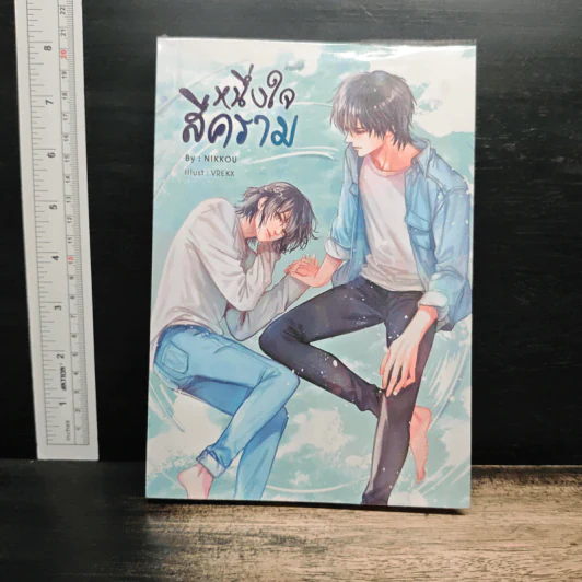 หนึ่งใจสีคราม - Nikkou รูปที่ 1