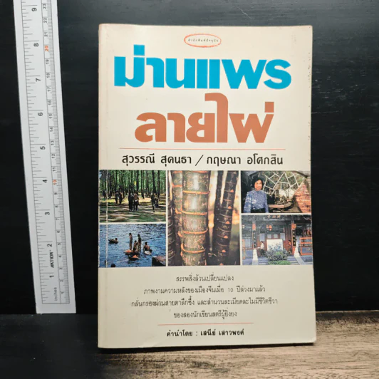 ม่านแพรลายไผ่ - สุวรรณี สุคนธา, กฤษณา อโศกสิน รูปที่ 1