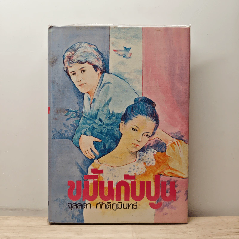 ขมิ้นกับปูน เล่ม 2 - จุลลดา ภักดีภูมินทร์ รูปที่ 1