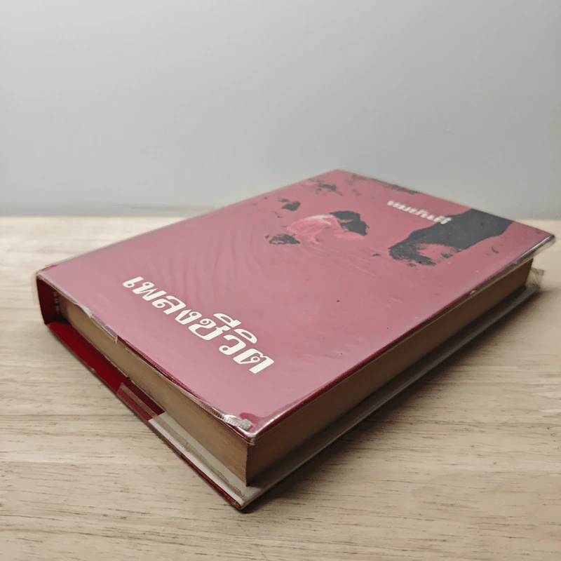 เพลงชีวิต เล่ม 1 - ทมยันตี รูปที่ 3