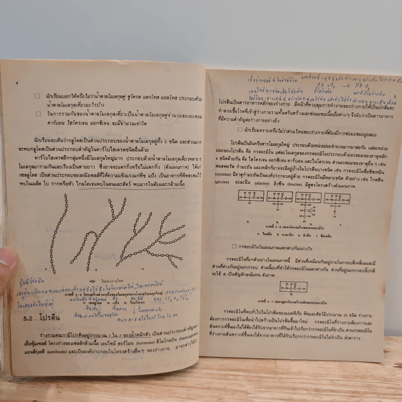 หนังสือเรียนวิชา ชีววิทยา ว 041 รูปที่ 9