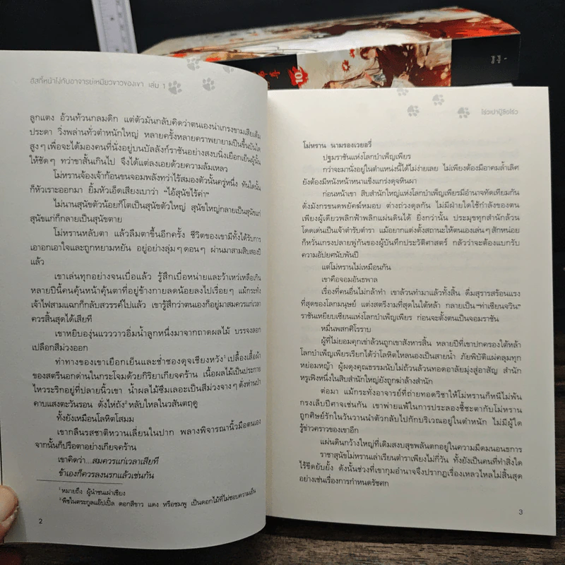 Boxset นิยายวาย ฮัสกี้หน้าโง่กับอาจารย์เหมียวขาวของเขา 10 เล่มจบ - โร่วเปาปู้ชือโร่ว (rou bao bu chi rou) รูปที่ 12