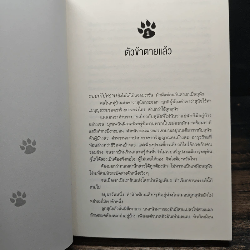 Boxset นิยายวาย ฮัสกี้หน้าโง่กับอาจารย์เหมียวขาวของเขา 10 เล่มจบ - โร่วเปาปู้ชือโร่ว (rou bao bu chi rou) รูปที่ 11
