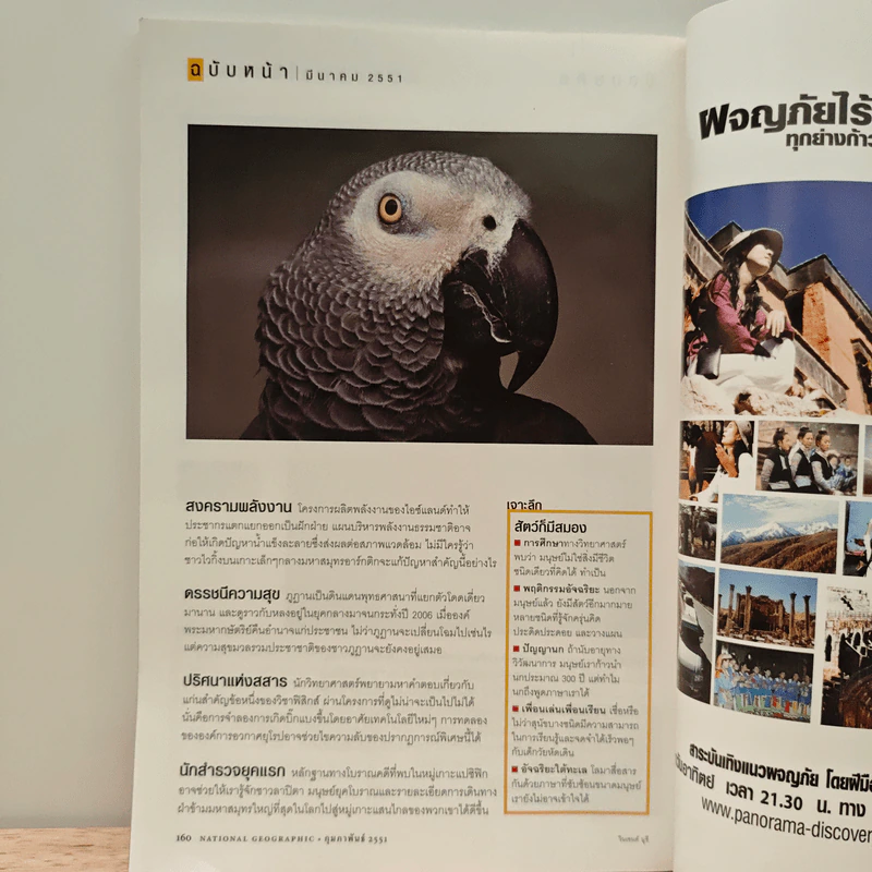 National Geographic ฉบับที่ 79 ก.พ.2551 รูปที่ 10
