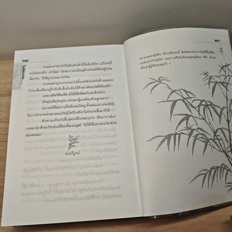ไผ่ต้องลม 2 เล่มจบ - โบตั๋น รูปที่ 8