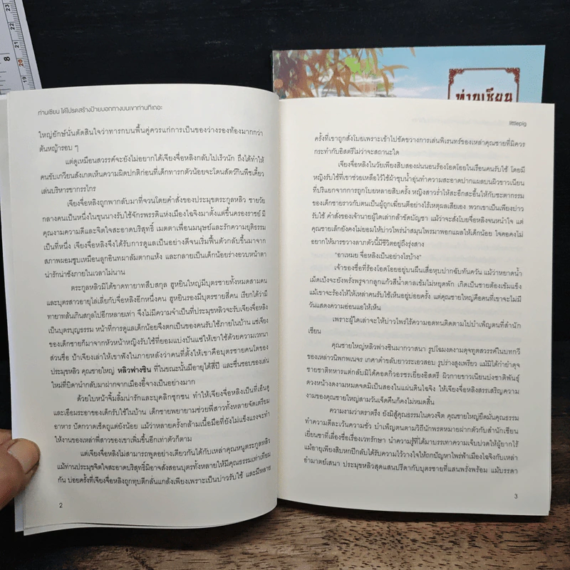 ท่านเซียน ได้โปรดสร้างป้ายบอกทางบนเขาของท่านทีเถอะ! เล่ม 1-2 - littlepig รูปที่ 8