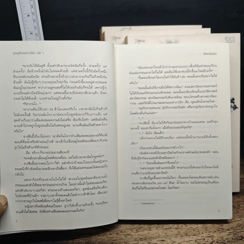 Boxset คุณผู้ช่วยสถาปนิก 4 เล่มจบ - ซีเหอชิงหลิง รูปที่ 11
