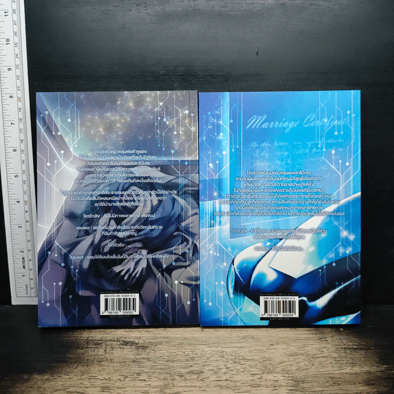 จอมพลบอกแล้วไงว่าไม่ได้ขโมย! 2 เล่มจบ - Silver Fish รูปที่ 2