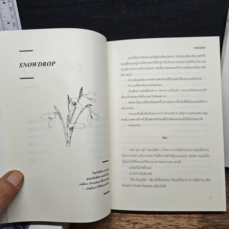 Rainy Song + Winter Flower + Summer Color - Writers รูปที่ 11