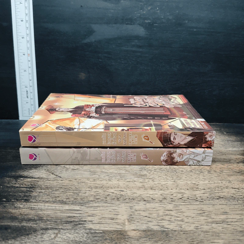 ผมมันไอดอลตัวท็อปของยมโลก เล่ม 1-2 - เผยตี๋, qMondae รูปที่ 3