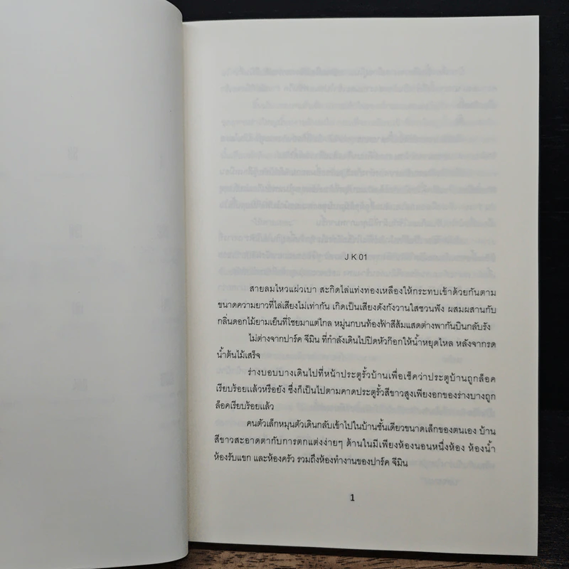 Empty - Vasa รูปที่ 7