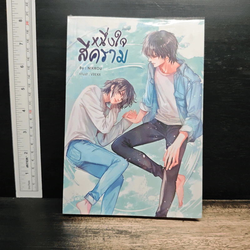 หนึ่งใจสีคราม - Nikkou รูปที่ 1