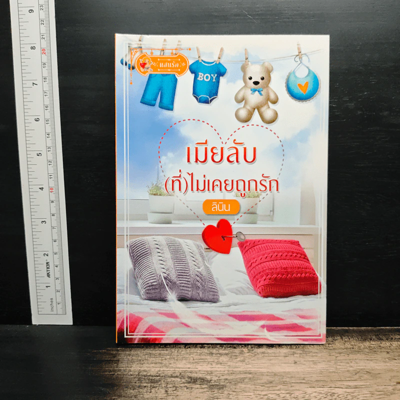เมียลับ(ที่)ไม่เคยถูกรัก - ลินิน รูปที่ 1