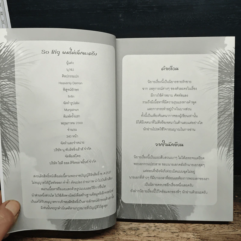 So Big ผมไม่เล็กนะครับ - นุ NU รูปที่ 4