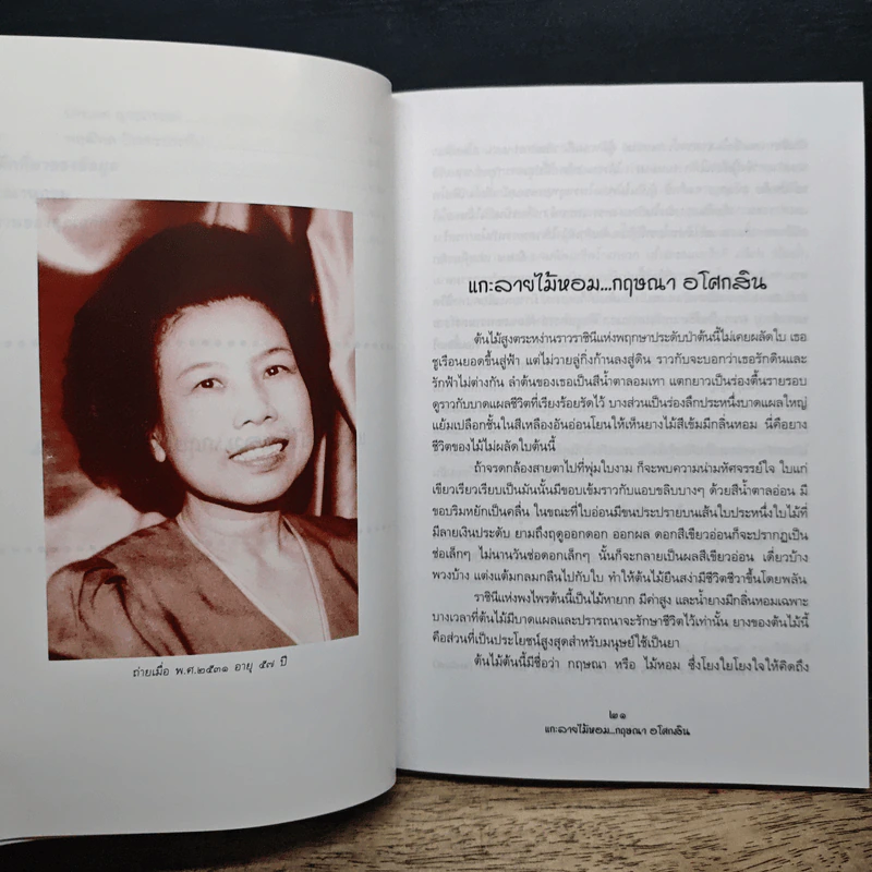 แกะลายไม้หอม กฤษณา อโศกสิน - ไพลิน รุ้งรัตน์ รูปที่ 11
