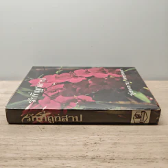 รักที่ถูกสาป เล่ม 2 - รุ้งพลาย เพชรลดา รูปที่ 2