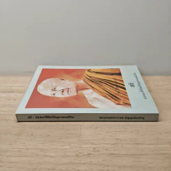 สติ ธรรมะที่ใช้แก้ปัญหาของชีวิต รูปที่ 2
