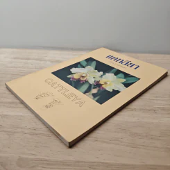 แคทลียา - บรรณ บูรณะชนบท รูปที่ 3