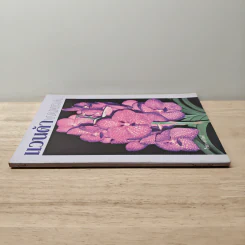 แวนด้า Vanda - ไชยา, ลาวัลย์ รูปที่ 2