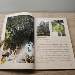 ไม้สิริมงคล ปลูกแล้วรวย โชคดี มั่งมีศรีสุข - บุษบา จังพานิชย์กล รูปที่ 8