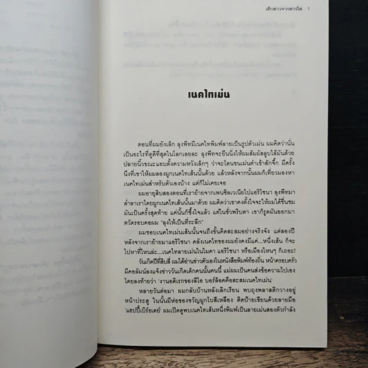 เด็กสาวจากดาวใส - Jerry Spinelli, จิระนันท์ พิตรปรีชา รูปที่ 7