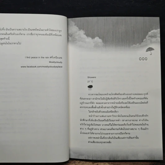 I Find Peace in the Rain ที่เหนือเมฆ - Mostlycloucy รูปที่ 8