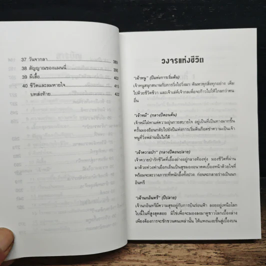 แล้วผีเสื้อแสนสวยก็โบยบิน - เสาวนีย์ เนาว์ถิ่นสุข รูปที่ 8