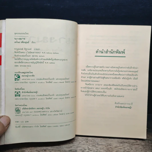 นางมาร - เพไนย เพียงศูนย์ รูปที่ 6