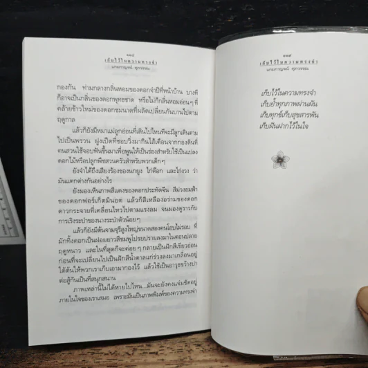 เก็บไว้ในความทรงจำ - แกมกาญจน์ ศุภวรรณ รูปที่ 8