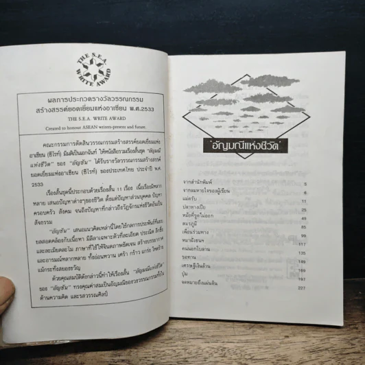 อัญมณีแห่งชีวิต - อัญชัน รูปที่ 6