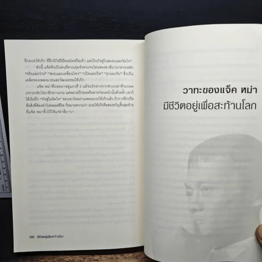 ชีวประวัติ แจ็ค หม่า มีชีวิตอยู่เพื่อสะท้านโลก - หลิวซื่ออิง รูปที่ 12