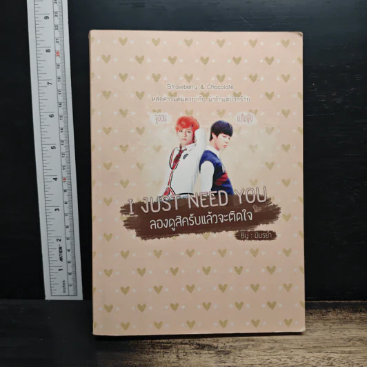 I JUST NEED YOU ลองดูสิครับแล้วจะติดใจ - มีนรย้า รูปที่ 1