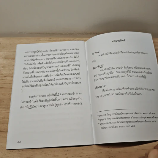 แก้ปัญหาด้วยสัมมาทิฏฐิ - พุทธทาสภิกขุ รูปที่ 8