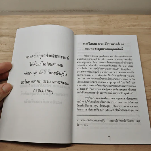 พระประวัติ พลเรือเอก พระเจ้าบรมวงศ์เธอ กรมหลวงชุมพรเขตรอุดมศักดิ์ รูปที่ 6