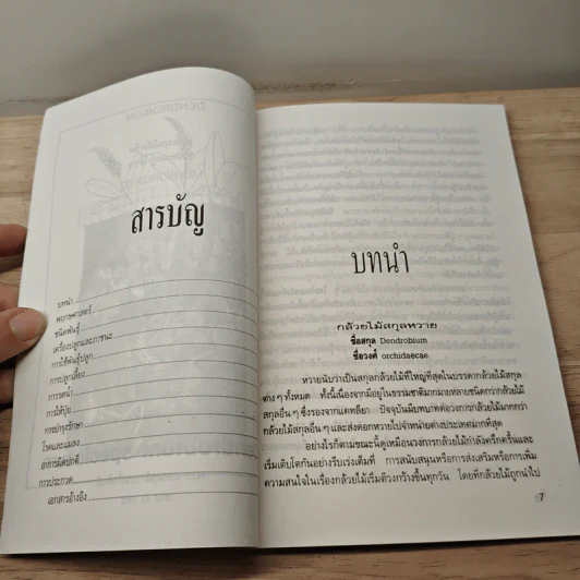 กล้วยไม้สกุลหวาย - บรรณ บูรณะชนบท รูปที่ 7