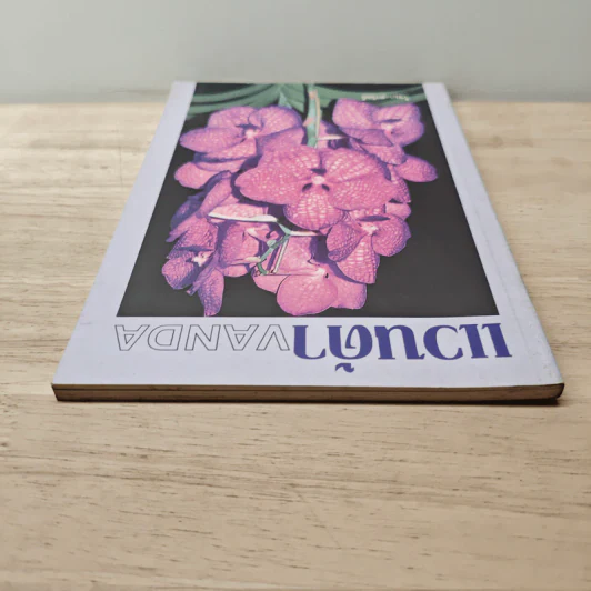 แวนด้า Vanda - ไชยา, ลาวัลย์ รูปที่ 4