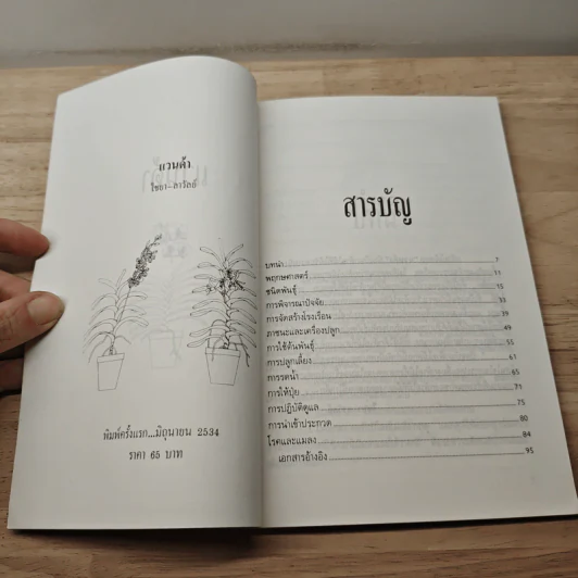 แวนด้า Vanda - ไชยา, ลาวัลย์ รูปที่ 6