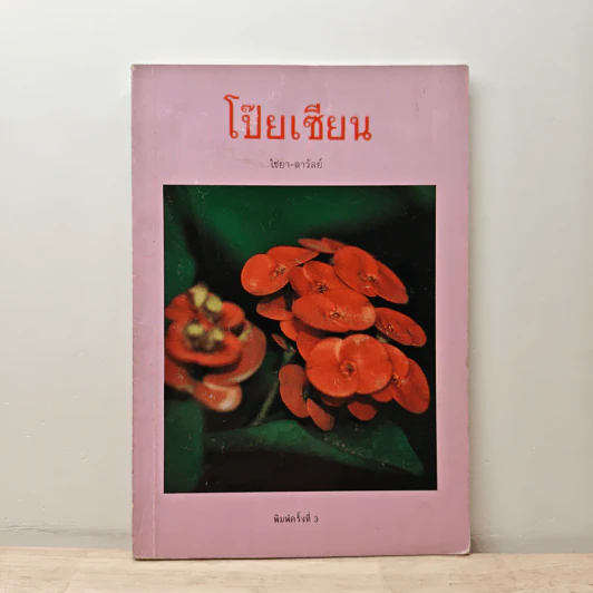 โป๊ยเซียน - ไชยา-ลาวัลย์ รูปที่ 1