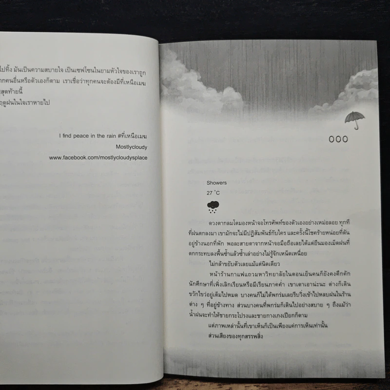 I Find Peace in the Rain ที่เหนือเมฆ - Mostlycloucy รูปที่ 8