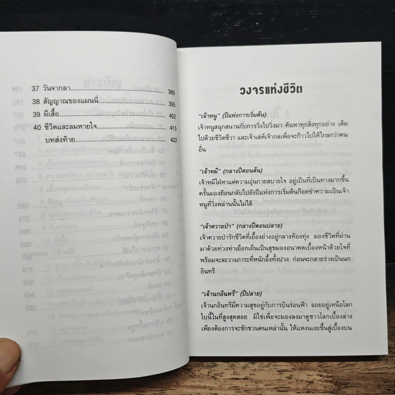 แล้วผีเสื้อแสนสวยก็โบยบิน - เสาวนีย์ เนาว์ถิ่นสุข รูปที่ 8