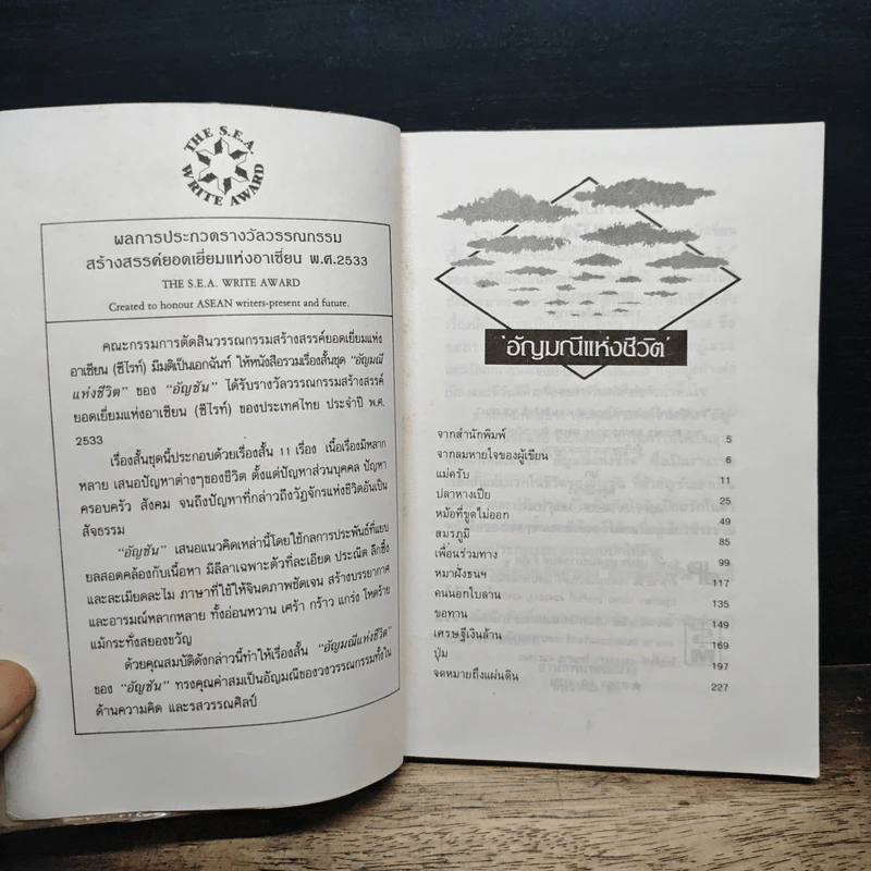 อัญมณีแห่งชีวิต - อัญชัน รูปที่ 6