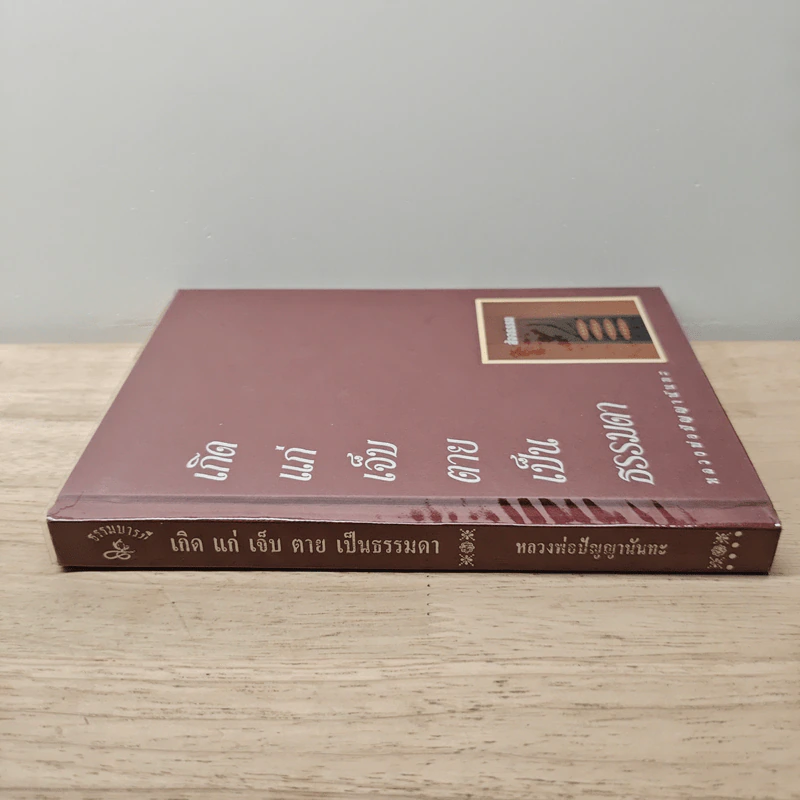 เกิด แก่ เจ็บ ตาย เป็นธรรมดา - หลวงพ่อปัญญานันทภิกขุ รูปที่ 2