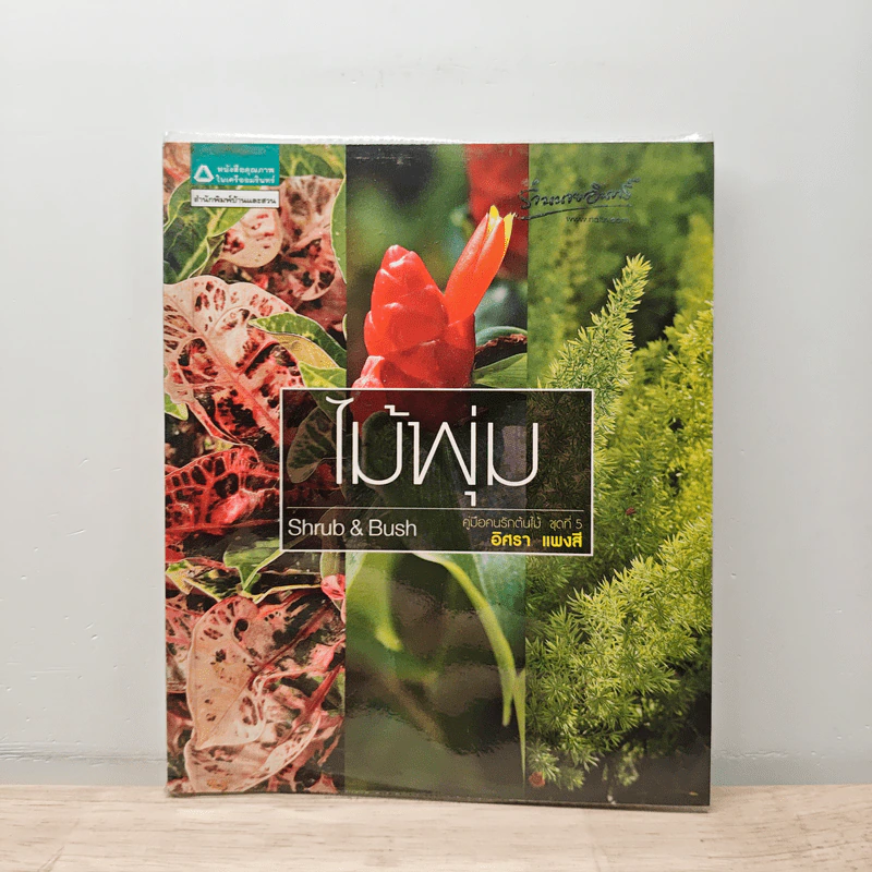 ไม้พุ่ม Shrub & Bush - อิศรา แพงสี รูปที่ 1