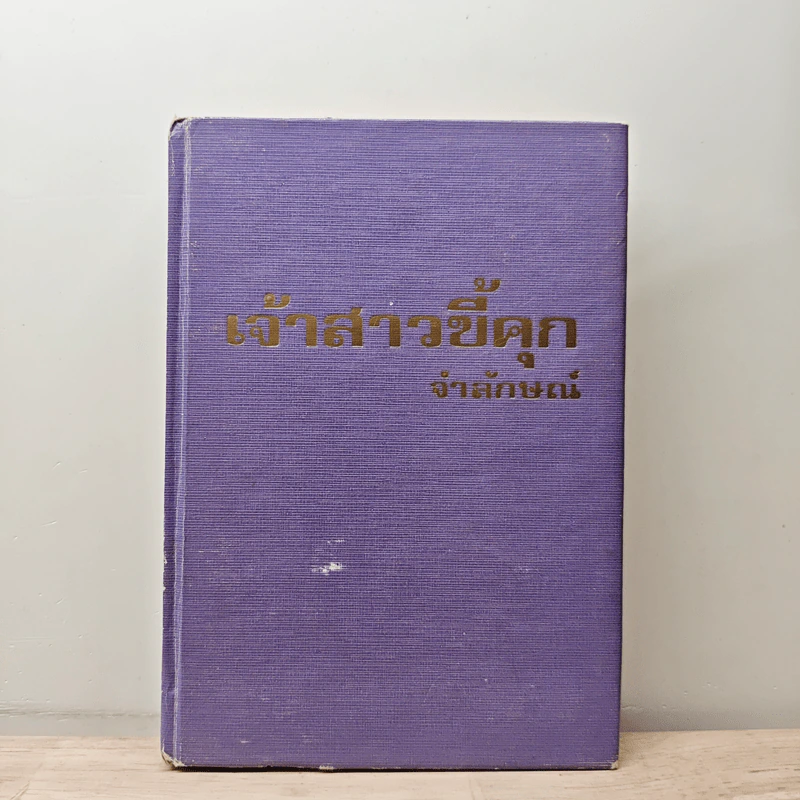 เจ้าสาวขี้คุก - จำลักษณ์ รูปที่ 1