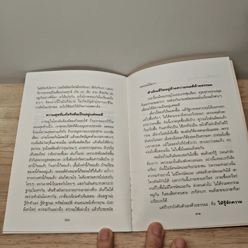 ความสุขที่แท้ คือการมีชีวิตอยู่กับความพอดี - ปัญญานันทภิกขุ รูปที่ 8
