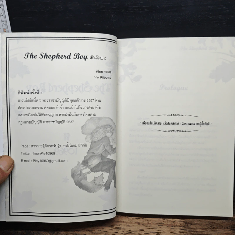 The Shepherd Boy เด็กเลี้ยงแกะ - 10969 รูปที่ 7