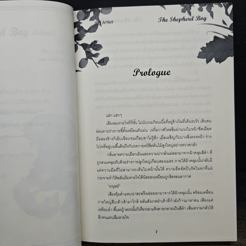 The Shepherd Boy เด็กเลี้ยงแกะ - 10969 รูปที่ 8